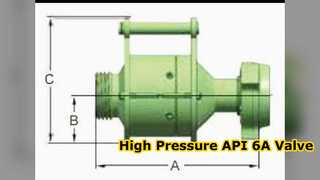 API 6A High Pressure Check Valve 10000 to 20000 PSI